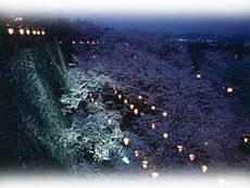 津山さくらまつり