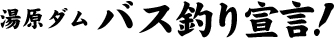 �����_���@�o�Y�ނ�錾�I