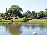 岡山後楽園（おかやまこうらくえん）