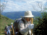 櫃ヶ山（ひつがせん）ほっとスカイウォーク