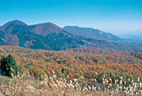 蒜山大山スカイライン