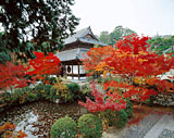 井山宝福寺