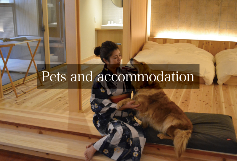 Pets and accommodation